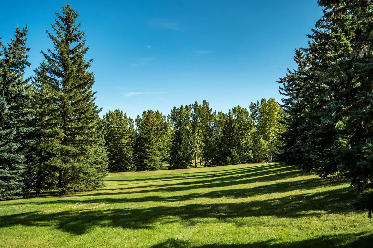 Shawnee Slopes community in Calgary